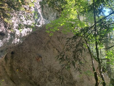 La grotte