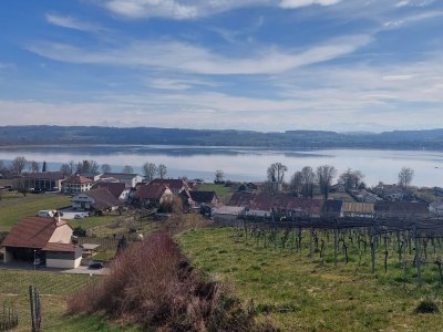 <p>Vue sur le lac de Morat</p>