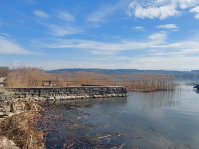 <p>Au bord du lac de Morat, vers Praz</p>