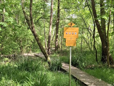 <p>Sentier bien aménagé dans la forêt</p>