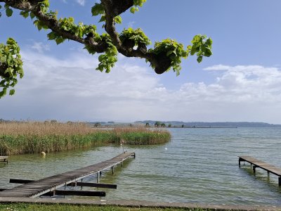 <p>Joli coup d'il sur le lac de Neuchâtel</p>