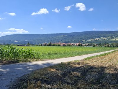 La balade passe dans les champs