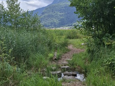 Sentier