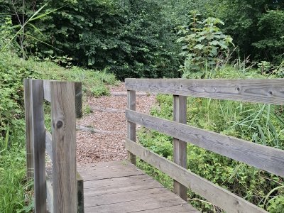 Petit pont en bois