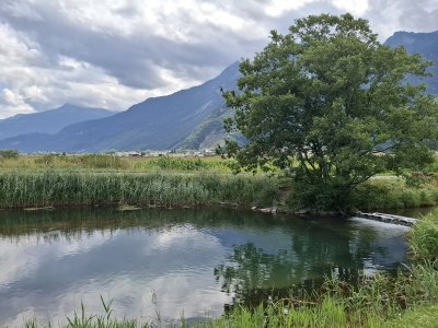 Petite étendue d'eau