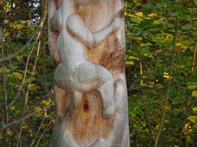 Un Plesiadapis, primate archaïque de la taille d'un écureuil de l'époque du crétacé
