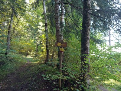 Suivre le chemin à gauche, indiqué par la direction de l'étoile