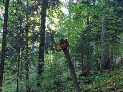 <p>Les flèches et panneaux ont subi la dégradation du temps</p>