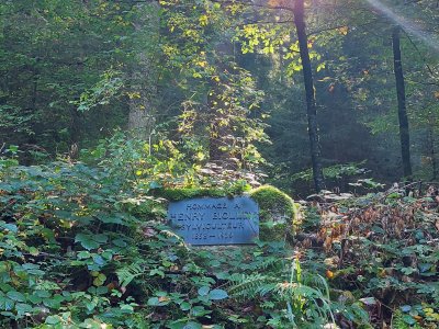 Plaque en hommage à Henry Biolley, sylviculteur