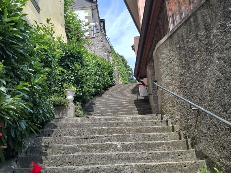 Rue