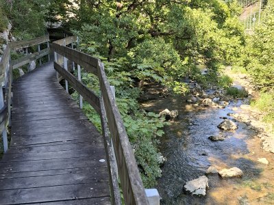 Passerelle, le long de la Birse