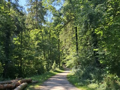 Entrée au frais dans la forêt, en quittant Moutier