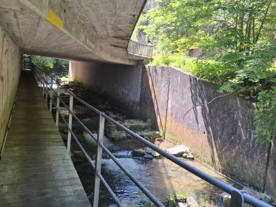 Le sentier change de côté de la Birse et passe sous la route