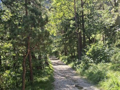 Chemin pédestre 