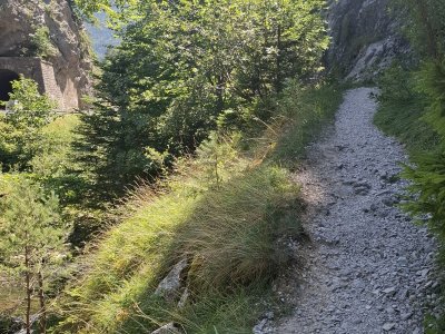 Chemin des gorges
