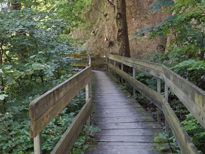 Passerelle en bois