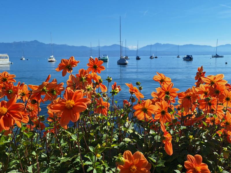 De Bussigny à Morges