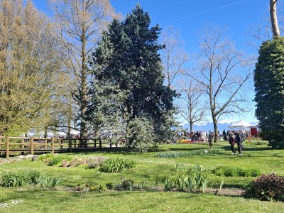 <p>Les quais de Morges</p>