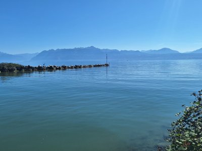 La Venoge rejoint le Léman