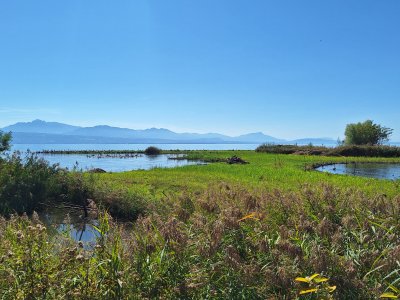 L'île des oiseaux