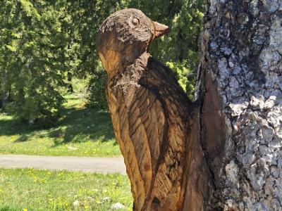 Jolie sculpture de pic