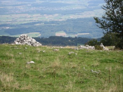 Pâturage près de la Bergerie du Haut