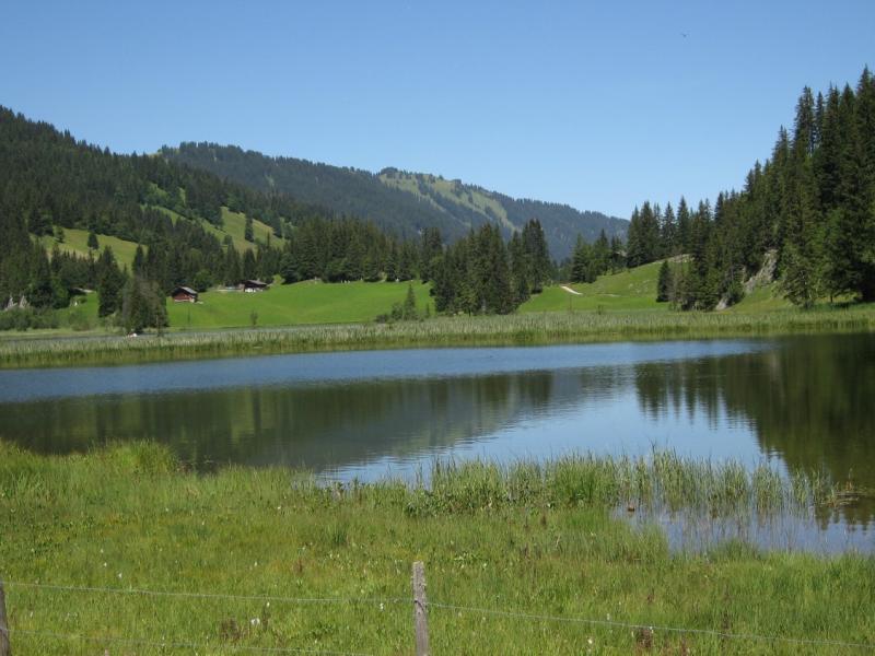 Cabane Gelten (Geltenhütte)