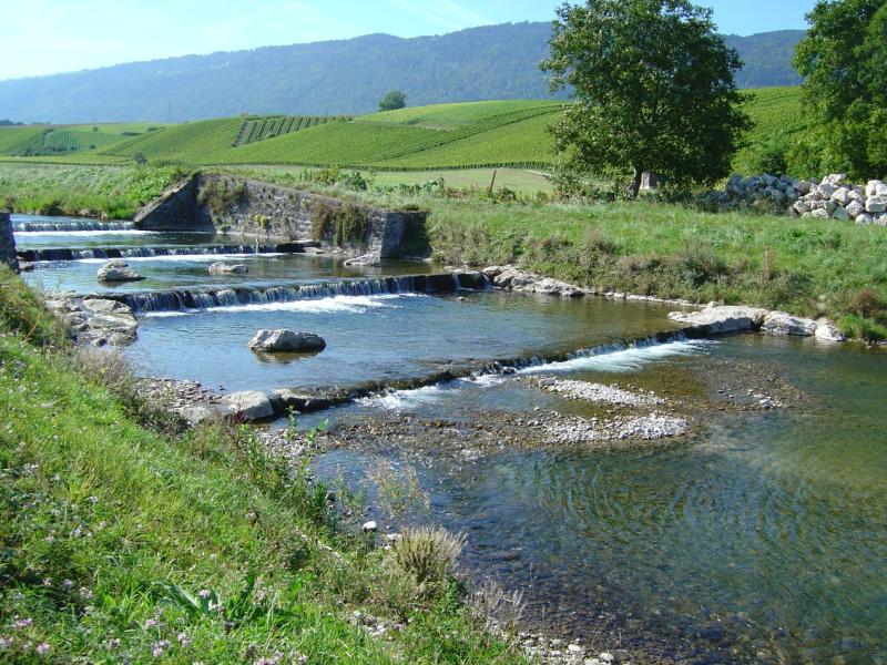L'Arnon, de Champagne à Fiez