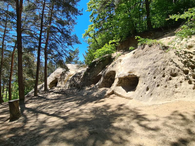 Grottes du Mont Vully