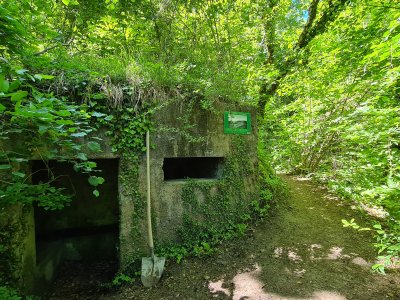 <p>Bunker de la ligne de défense du Vully</p>