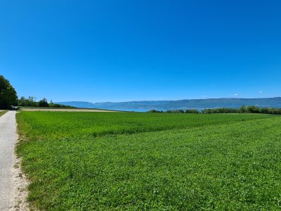 Vue sur le lac de Neuchâtel