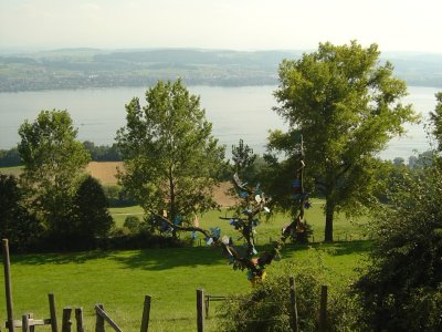 Vue sur le Lac de Morat depuis Plan Châtel