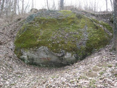 Bloc erratique "Pierre Agassiz"