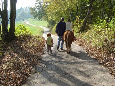 Une balade en poney à Chaumont