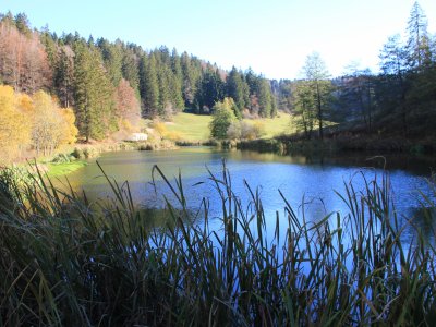 Bel automne