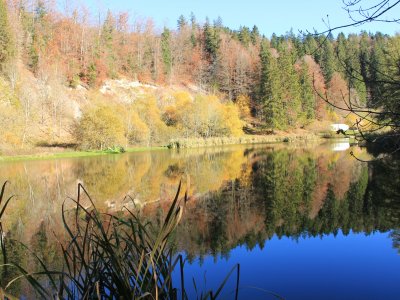 Etang en automne 
