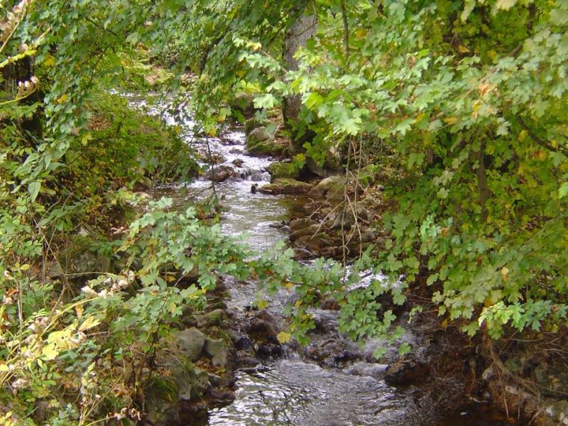 Combe du Pilouvi - Ruisseau de Vaux