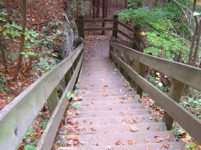Escalier en bois, pour descendre dans la Combe du Pilouvi