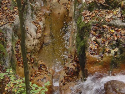 Le Ruisseau de Vaux
