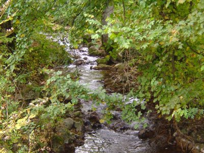 Le Ruisseau de Vaux
