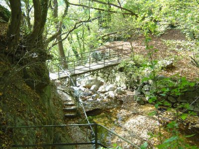 Pont engeambant le Ruisseau de Vaux, dans  la Combe du Pilouvi