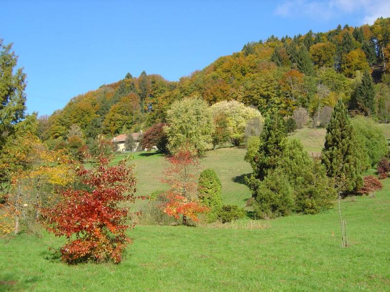 Arboretum du vallon de l'Aubonne