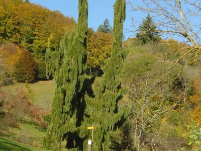 L'entrée principale de l'Arboretum du Vallon de l'Aubonne
