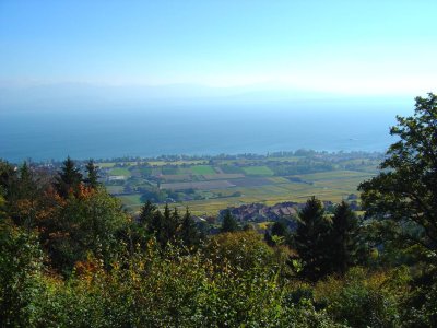 Le point de vue sur le Lac Léman