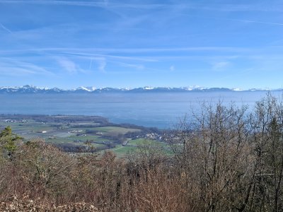<p>La vue, depuis le Signal de Bougy</p>