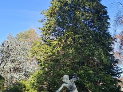 <p>Dans le "Jardin de Madame"</p>