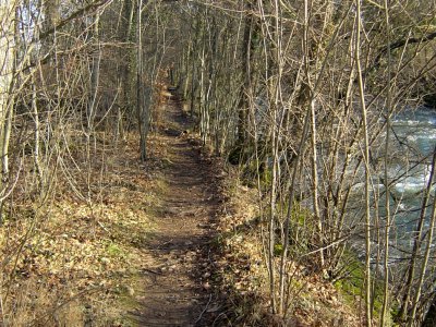 Sentier dans la forêt, sur la rive gauche de l'Areuse, en direction du lac