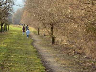 Sentier remontant l'Areuse sur la rive droite