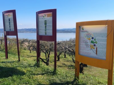 <p>Panneaux didactiques, le long du chemin</p>