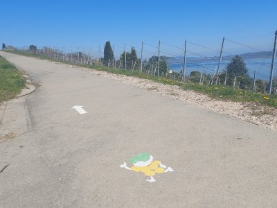 <p>Le chemin est indiqué par des flèches au sol</p>